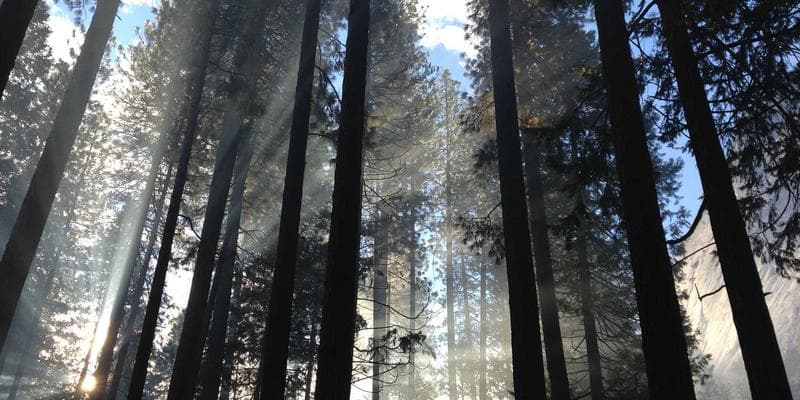 Goldenstate College Celebrates Success: 40 New Board Passers in Criminology